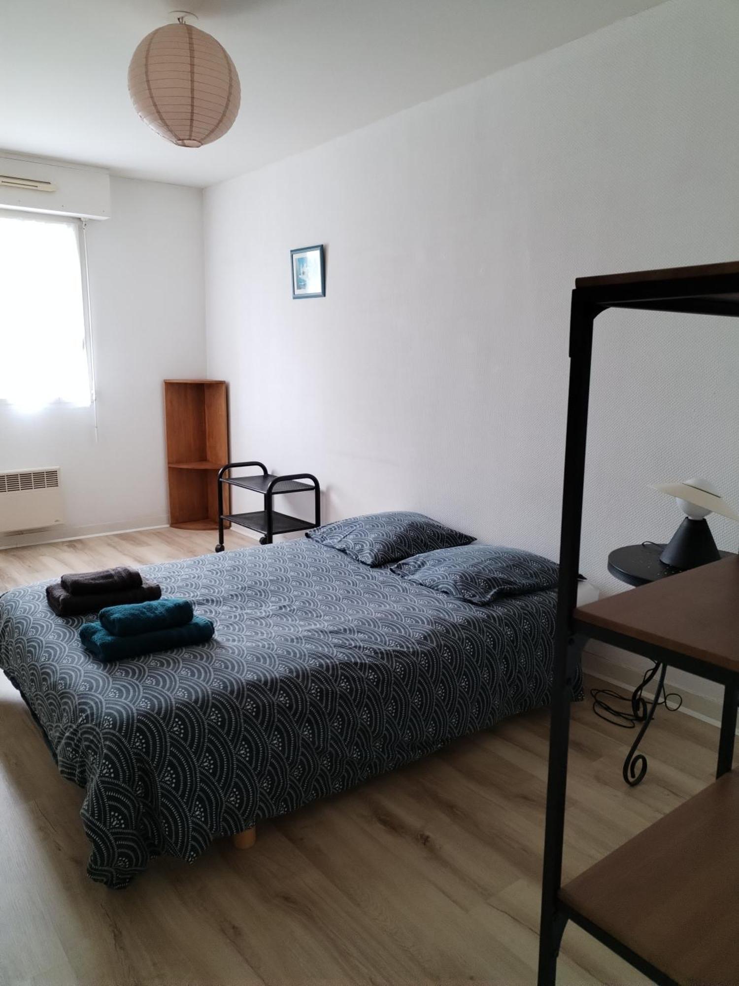 Apartment Superbe Centre Gregoire *